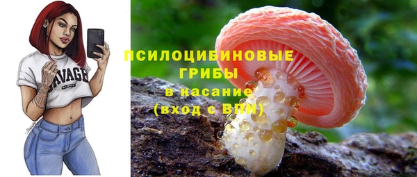 прущий лед Строитель