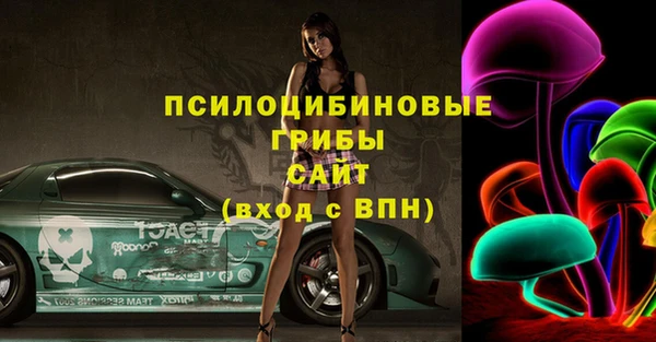соль ск Тавда